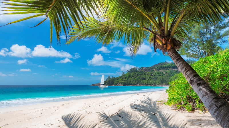 cloud - sky, tranquility, sky, tranquil scene, sandy beach, palm tree, sand, nature, blue sea, 4K, land, no people, beach, tropical tree, scenics - nature