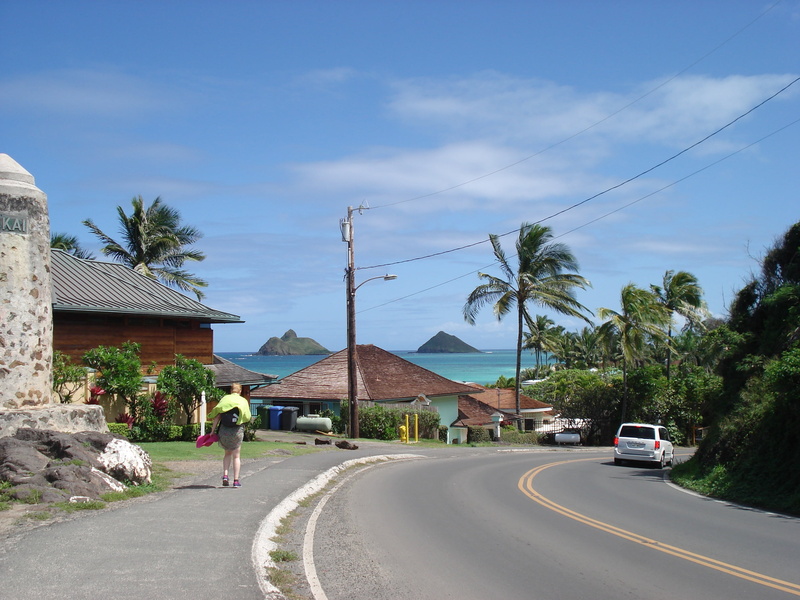 the way forward, vacation, city, oahu, sunshine, sky, cloud - sky, street, nature, building, built structure, plant, sea, paradise, road, tropical climate
