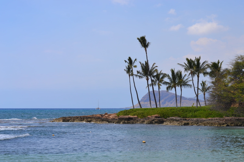 outdoor, ocean, vacation, tropical climate, palm trees, tranquility, horizon, hawaiian, water, tree, beauty in nature, plant, horizon over water, travel