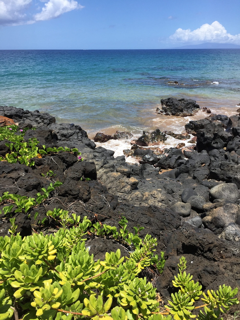 hawaiian, horizon, hawaii, horizon over water, ocean, water, sea, tropical, idyllic, rock - object, scenics - nature, rocky coastline, travel, paradise