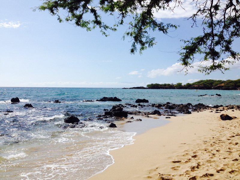 idyllic, beauty in nature, 2K, nature, sea, tropical, tranquil scene, hawaii, scenics - nature, vacation, travel, tranquility, tree, hawaiian, non-urban scene