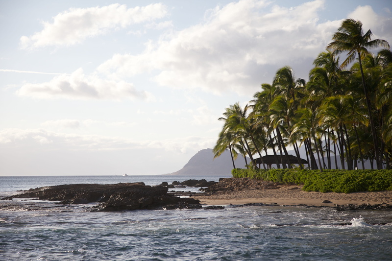 lifestyle, cloud - sky, scenics - nature, beauty in nature, water, day, sea, Beach, oahu, hawaii beach, sand, hawaiian, tranquility, sun, palm tree, coconut palm tree