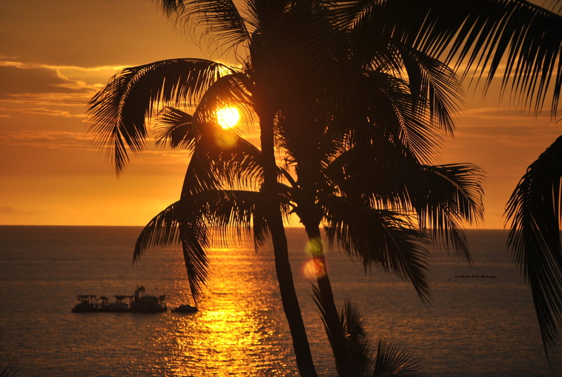 palm leaf, coconut palm tree, paradise, hawaiian, hawaii, island, sunset, beauty in nature, tree, fun, beach, ocean, tranquility, scenics - nature, holiday
