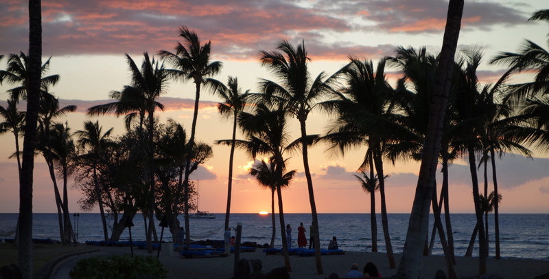 tranquil scene, light, tropical climate, horizon, palm tree, landscape, sunset, tropical, travel, plant, coconut palm tree, pacific, no people, trees, palm leaf