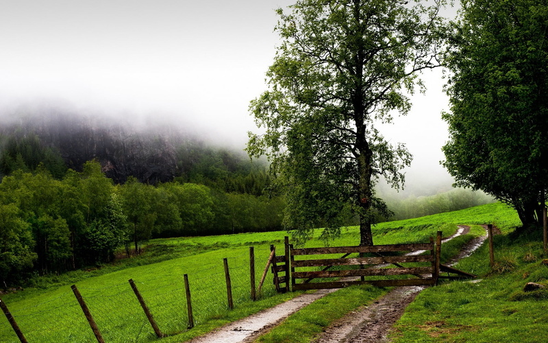 outdoors, boundary, grass, scenics, day, wooden, footpath, 720P, cloud - Sky, barrier, green Color, fog, mountain Range, no People, non-Urban Scene, plant