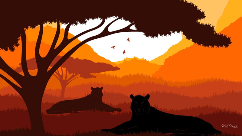 1080P, rest, tranquil, safe, lion, orange, and a member of the family felidae, trees, relax, lions, peace, sunset