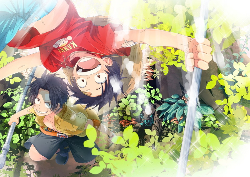 Monkey D. Luffy, One Piece, Portgas D. Ace, one, peace, Anime, 720P