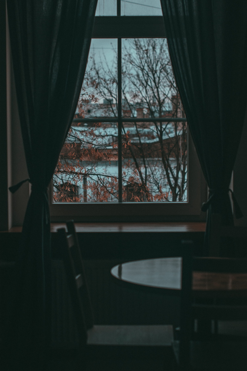 borders, glass - material, day, window shade, curtains, no people, house, shadow, nature, window frame, seat, home interior, glass, bare tree, inside, curtain