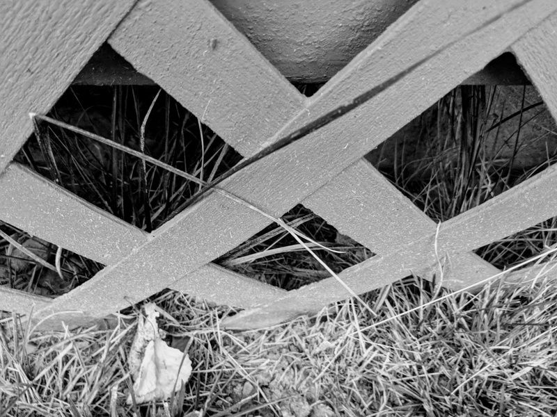 outdoors, united states, deck, wheel, wood - material, built structure, yard, plant, close-up, shape, geometric shape, land, building exterior, 4K, design
