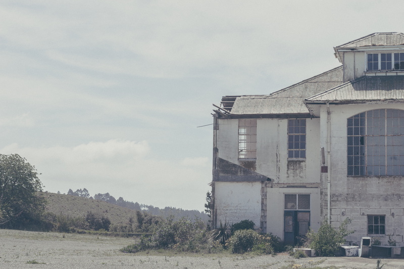 residential district, plant, 5K, day, abandoned, sky, outdoors, nature, no people, new zealand, nz, cloud - sky, country, land, countryside, window, summer