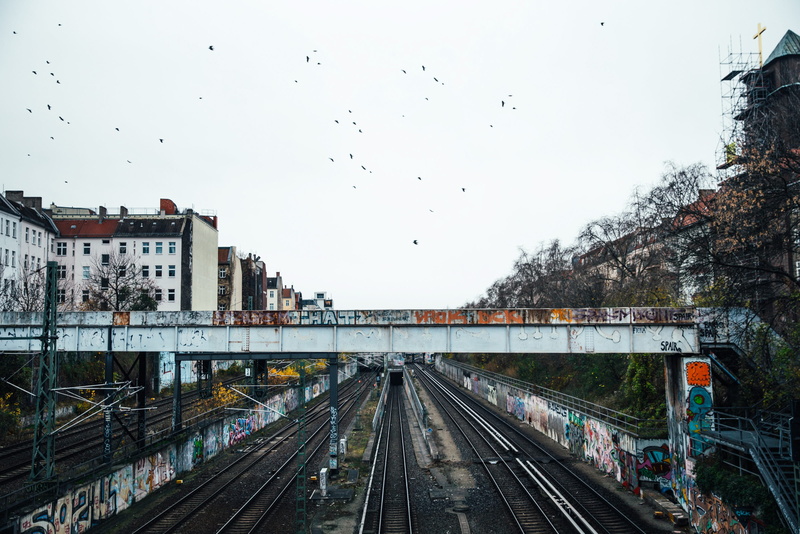 2K, train tracks, birds, tree, transportation, sky, subway, day, bridge, rail transportation, no people, mode of transportation, public, flock of birds