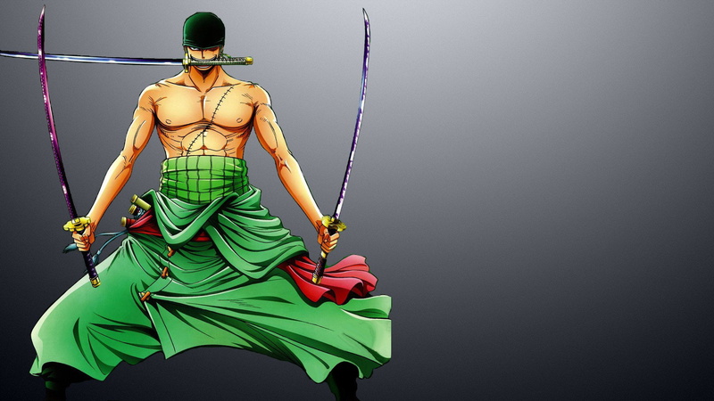 representation, One Piece, piece, nature, 1080P, one, strength, indoors, safety harness, rope, clothing, adult, Anime, zoro, copy space, lifestyles, one person