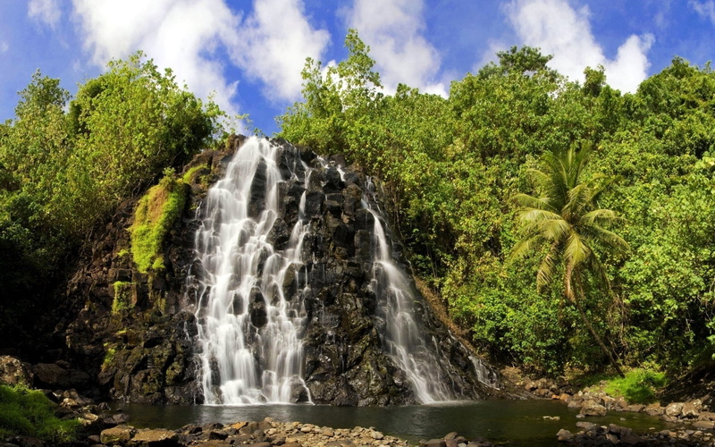 growth, rainforest, palm tree, waterfalls, forest, thailand, motion, water, outdoors, no People, cloud - sky, day, national Park, idyllic, tropical Rainforest