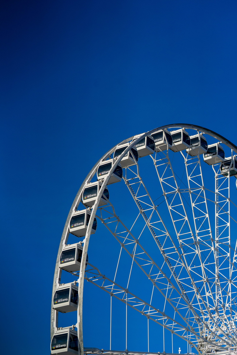 blossom, amusement park, leisure activity, day, roller coaster, arts culture and entertainment, theme park, shape, machine, architecture, aloe, geometric shape