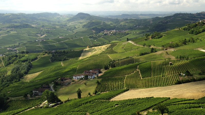 europe, tree, rolling landscape, plant, farm, rural scene, field, agriculture, wide, mountain, green, outdoors, piemonte, italy, tranquil scene, morning