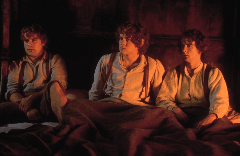 Sam Gamgee, The Lord of the Rings: The Fellowship of the Ring, Peregrin Took, Sean Astin, Dominic Monaghan, Merry Brandybuck, Billy Boyd, The Lord of the Rings