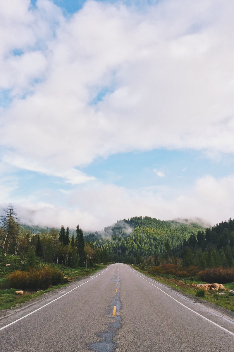 horizon, tranquil scene, tranquility, journey, scenics, no people, sky, transportation, scenery, summer, scenic, forest, green, outdoor, drive, scenics - nature