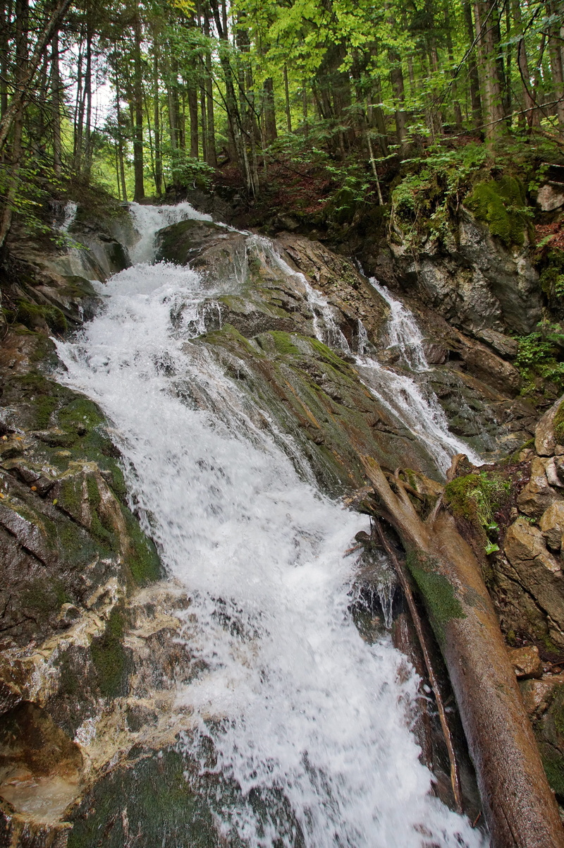 nature, plant, day, flows, stream - flowing water, bridges, scenics - nature, stairs, 5K, tree, forest, vogelgesang klamm, defile, beauty in nature, flowing water