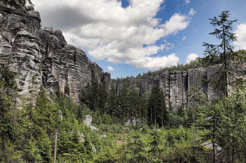 day, pine tree, growth, pine woodland, non-urban scene, landscape, rock, land, defile, nature, teplice rocks, tree, beauty in nature, coniferous tree, mountain