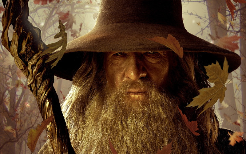lord, gandalf, fall, ian mckellen, 1080P, mckellen, leaves, wizard, ian, rings, the lord of the rings