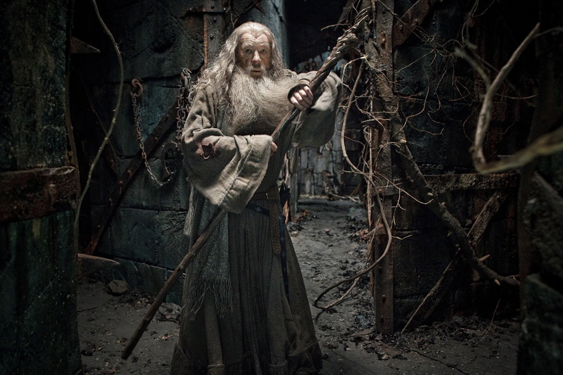 Ian McKellen, Gandalf, Movie, 1080P, The Hobbit: The Desolation of Smaug