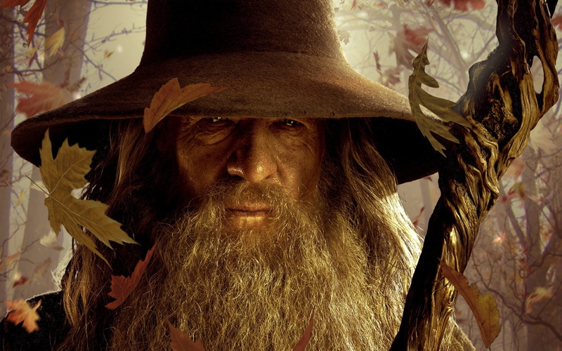 headshot, 1080P, human face, statue, portrait, The Lord Of The Rings, tree, costume, clothing, close-up, sculpture, indoors, representation, gandalf, art and craft