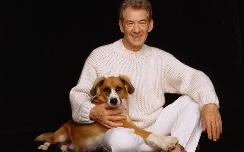 Sir Ian Murray McKellen, Ian McKellen, British actor, Sir Murray McKellen, 1080P