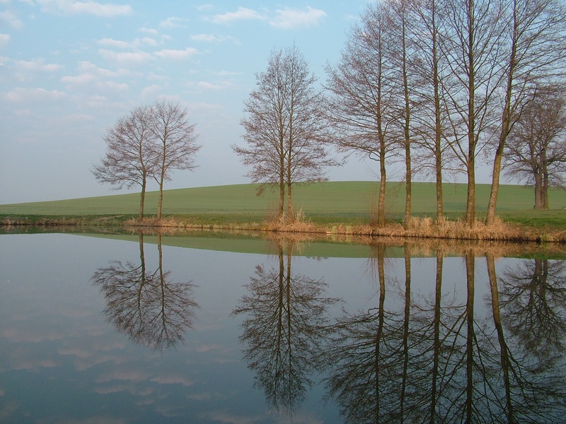 no people, waterfront, beauty in nature, outdoors, tranquility, day, body, sky, water, pond, lineup, reflection, cloud - sky, nature, tranquil scene, environment
