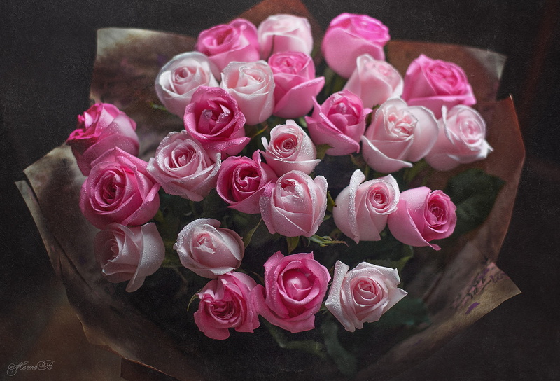 1080P, roses, Marina Baccardi, drops, buds, bouquet, pink