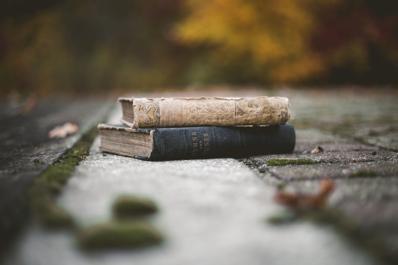 book, daytime, 5K, tree, nature, plant, sport, wealth, backgrounds, selective focus, table, vintage, still life, surface level, floor, brown