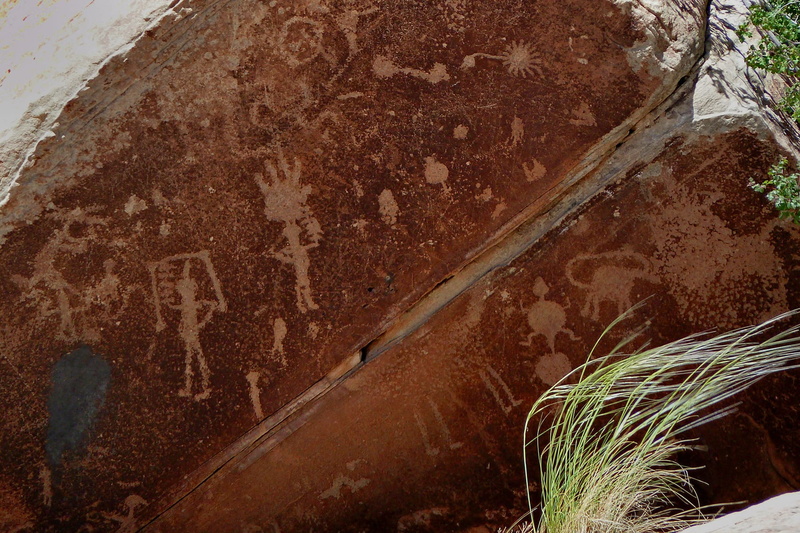 textured, old, carvings, 720P, growth, Petroglyph, felsbild, close-up, image, freshness, plant part, nature, rock, no people, symbol, high angle view