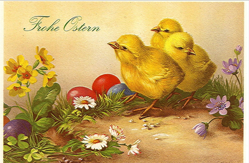young bird, animal, frohe, representation, greeting, pascha, celebration, springtime, autumn, flower, eggs, plant, ostern, chicken - bird, chicks, bird