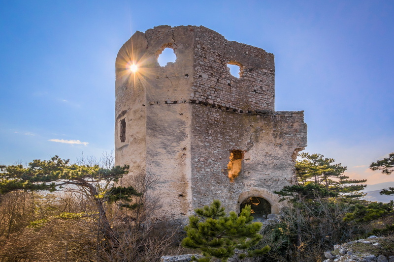 ruin, gray, near, building exterior, ancient civilization, fortress, outdoors, plant, travel destinations, the past, castle, history, built structure, burgruine