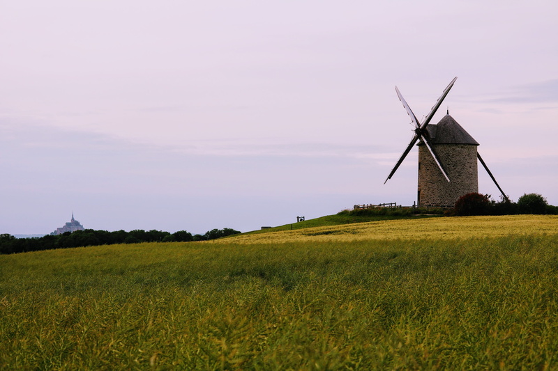 sunny day, alternative energy, built structure, land, summer, wind turbine, müller, pinwheel, plant, castle, wind, farm, yellow, mood, yellow flower, wind power
