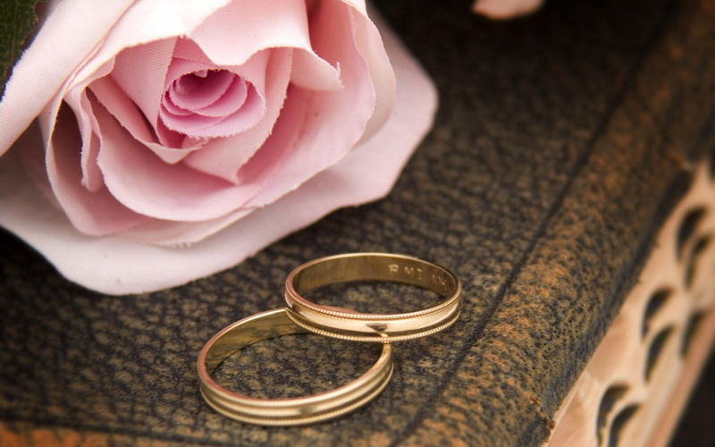 2K, a-book, one, pink-rose, two, rose, pink, wedding, rings