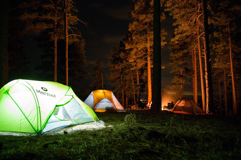 camp, no people, camping, grass, surrounded, outdoors, forest, tent, adventure, tranquility, trees, orange, 5K, green, nature, tents, field, night, holiday