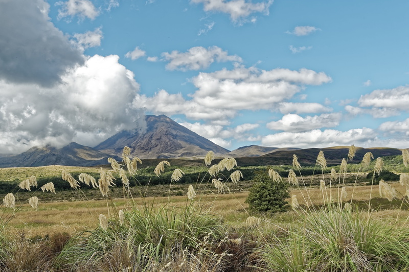 land, tongariro, 8K, north island, sky, no people, remote, outdoors, environment, plant, new zealand, tranquil scene, beauty in nature, landscape, non-urban scene