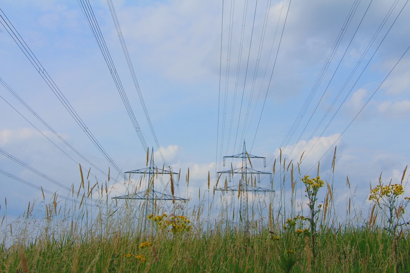 water, outdoors, landscape, day, cloud - sky, fuel and power generation, tranquility, electricity pylon, cable, connection, nature, grass, plant, tranquil scene