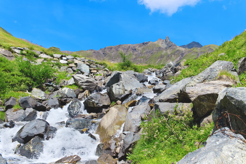 beauty in nature, day, mountain water, rock - object, 5K, stones, growth, flowing water, white water, mountain, blue, nice, plant, alps, flowers, solid