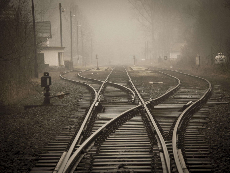 public transportation, lane, steel, train, light, day, rails, diminishing perspective, 2K, outdoors, transportation, railroad track, fog, tree, direction