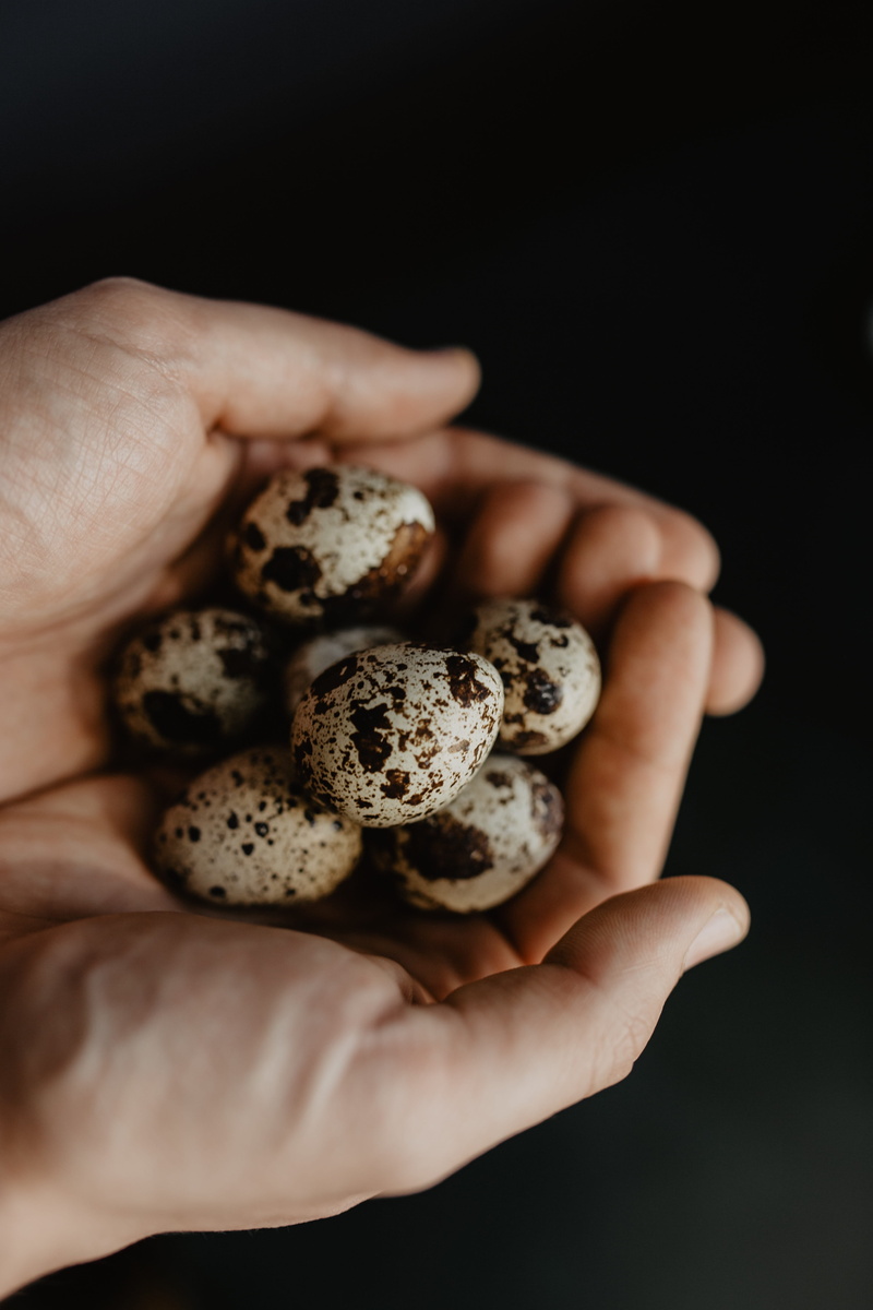adult, one person, holding, easter, eggs, human body part, unrecognizable person, food, food and drink, 5K, black background, finger, close-up, hand, studio shot