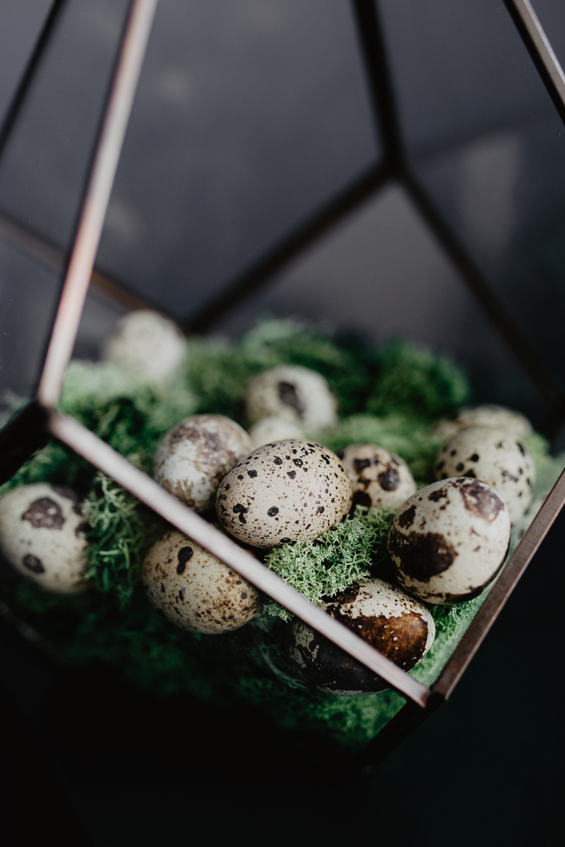 indoors, vegetable, day, easter, 4K, nature, kitchen utensil, quail, high angle view, snack, close-up, eggs, temptation, food and drink, food, no people