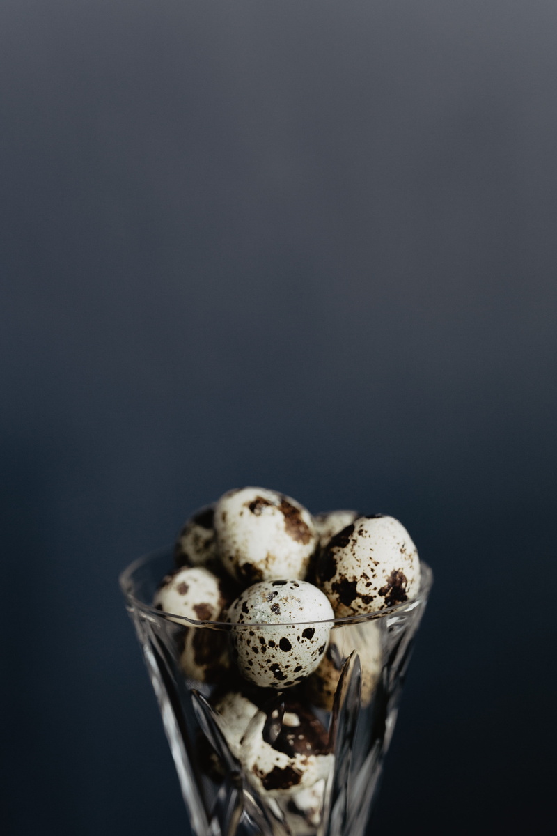 gray background, gray, animal egg, eggs, quail, black background, food, close-up, positive emotion, 4K, indoors, easter, two objects, no people, celebration