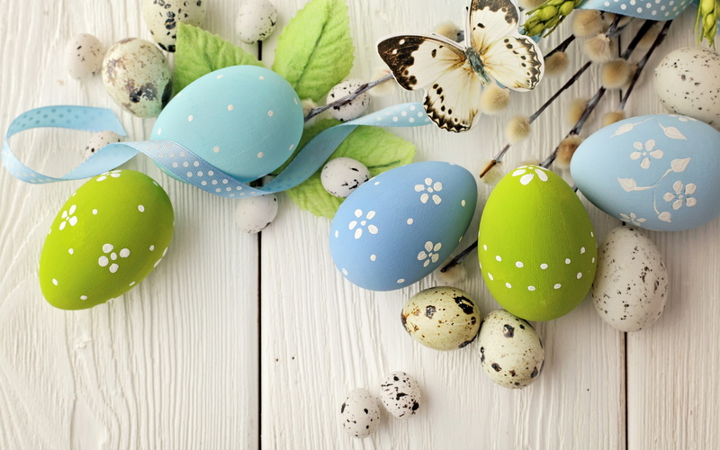 2K, butterfly, quail eggs, eggs, quail