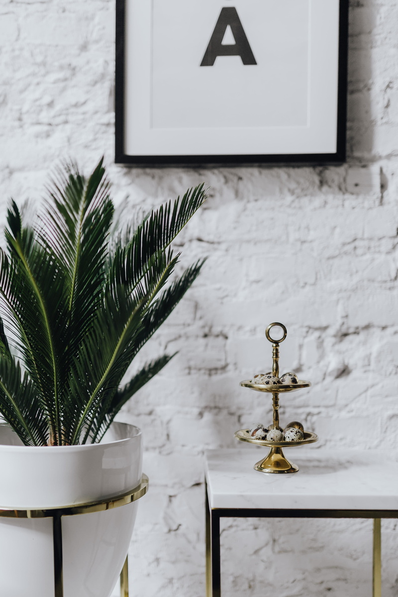 plant, 4K, architecture, leaf, table, potted plant, white, no people, nature, communication, still life, day, frame, indoors, Uncommon, wall - building feature