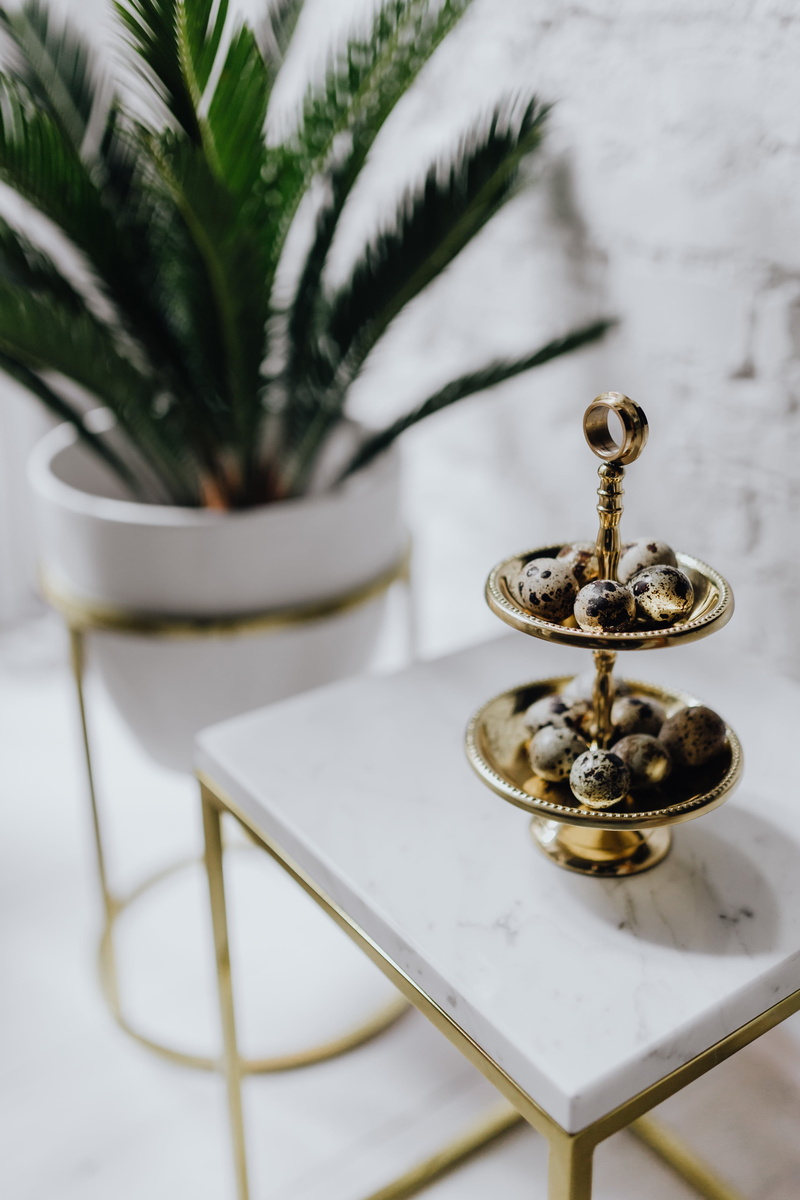 indoors, belief, Uncommon, nature, selective focus, setting, day, high angle view, table, plant, eggs, uncommon, white, 5K, metal, no people, close-up