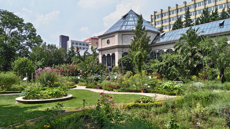 plant, jardin des plantes, building exterior, no people, front or back yard, mansion, ornamental garden, built structure, wealth, home, outdoors, luxury