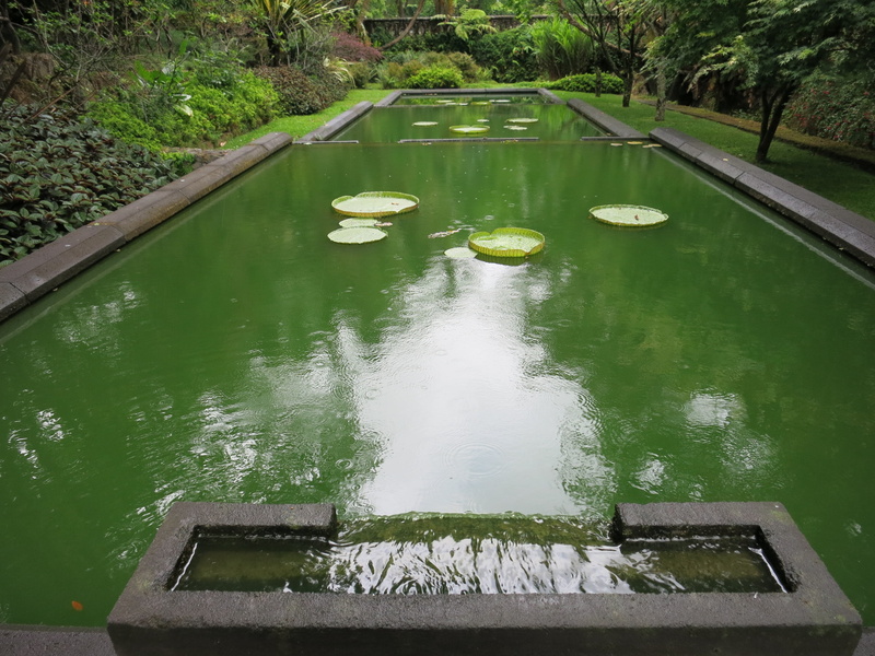 food, rose, park, outdoors, tree, river, no people, tranquility, leaf, food and drink, 4K, zen, garden, nature, pond, water, growth, fountain, reflection