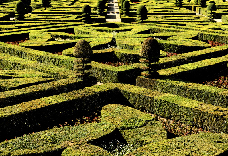 outdoors, complexity, hedge, château de villandry, plant, covey, 5K, green color, full frame, france, sunlight, bush, green, pattern, formal garden, no people