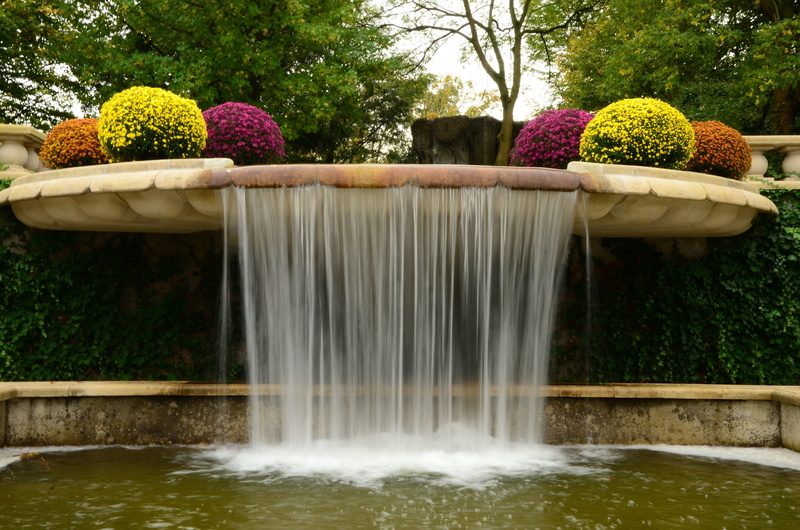 flower, park, motion, castle gardens arcen, growth, plant, freshness, waterfront, lake, Castle Gardens, green Color, plants, water, Arcen, park - Man Made Space